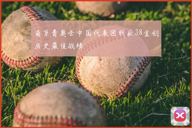 南京青奥会中国代表团斩获38金创历史最佳战绩