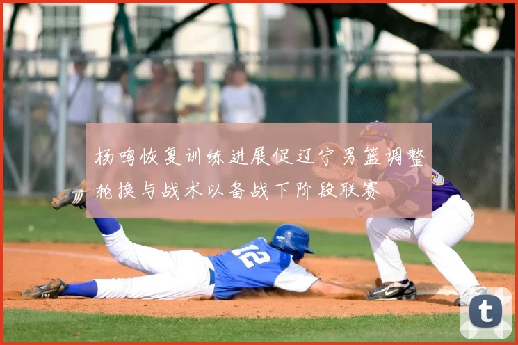 杨鸣恢复训练进展促辽宁男篮调整轮换与战术以备战下阶段联赛