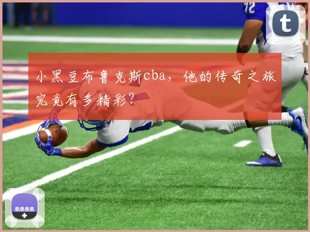 小黑豆布鲁克斯cba,他的传奇之旅究竟有多精彩?